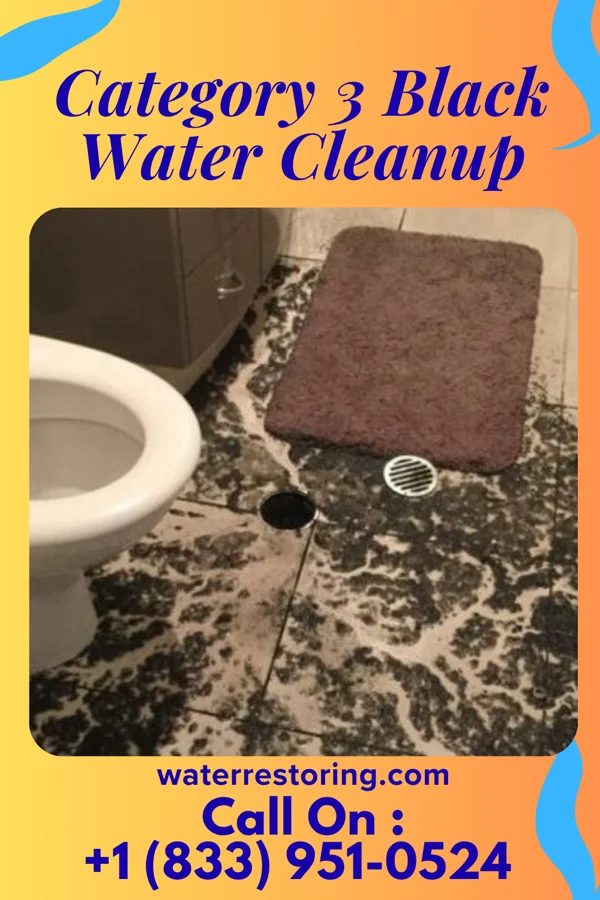 Category 3 Black Water Cleanup in Kilkenny, MN
